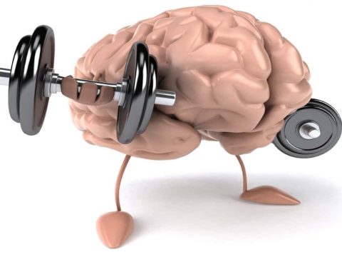 بدنسازی صحیح و ارتباط ذهن و عضله (MMC) - گروه تخصصی منتال پاور بادی بیلدینگ - مقاله
