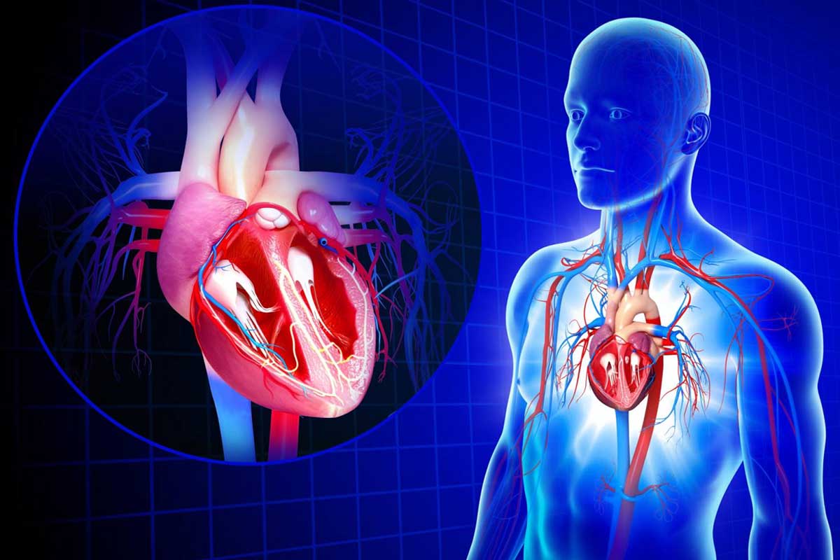درمان تنگی دریچه میترال قلب - ورزش درمانی