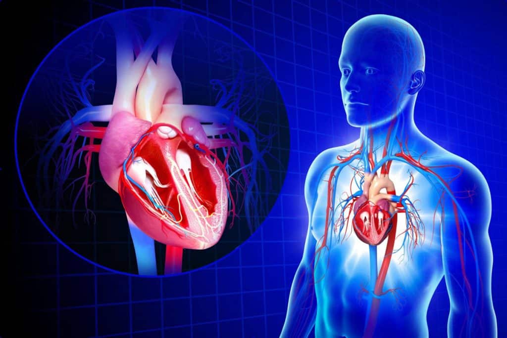 داروهای قلبی عروقی - دارو شناسی و هورمون شناسی